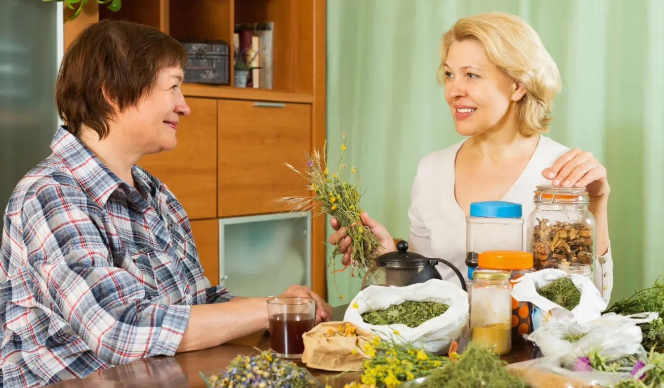What Is Plant-Based Therapy and How It Helps
