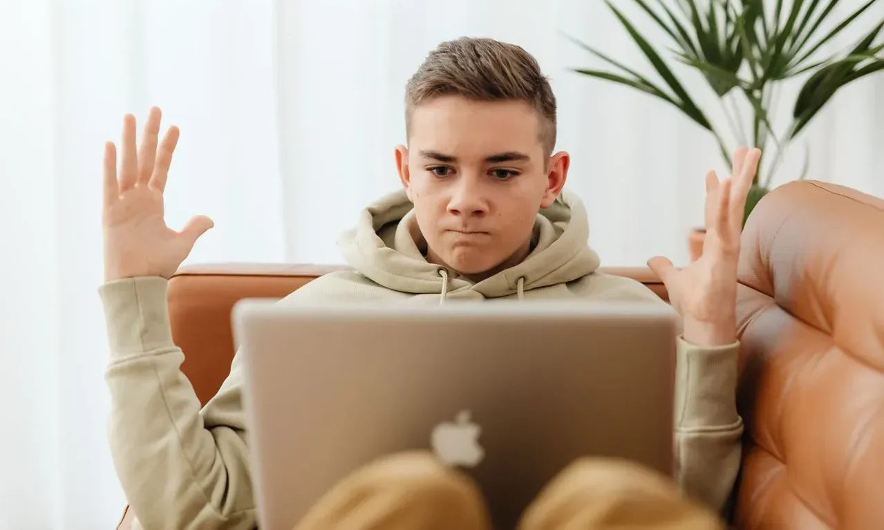 Learning Emotional Regulation Through Online Therapy